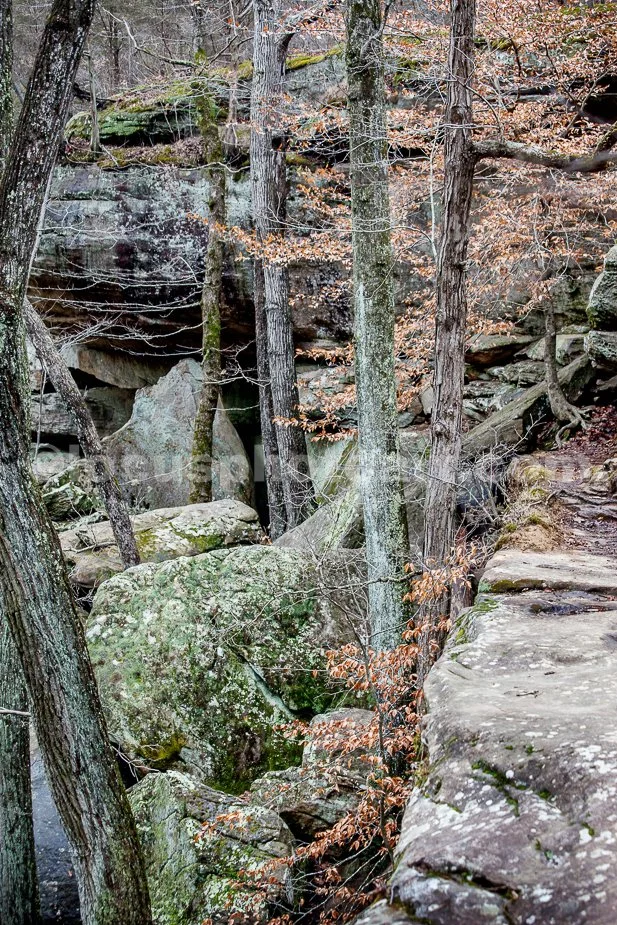 J21_Shawnee_Natiional_Forest_Winter_4208.jpg