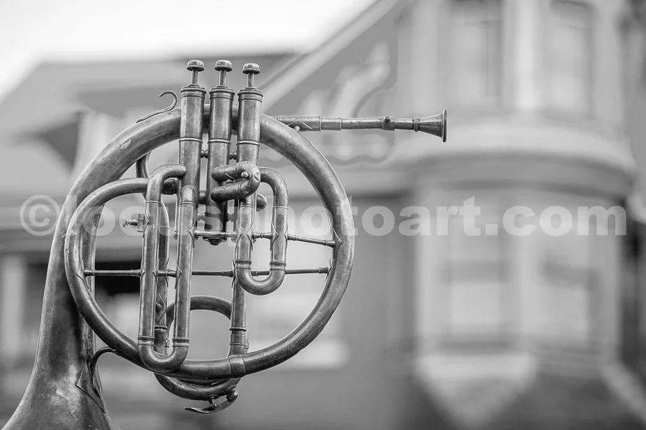 The_French_Horn_and_the_Victorian_2541_BW.jpg