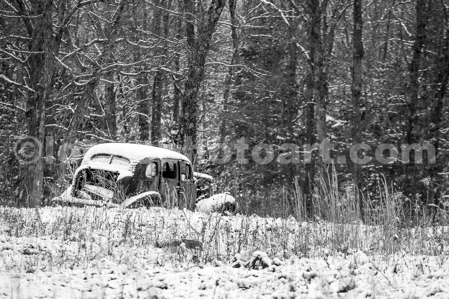 J21_Abandoned_Near_the_Woods_3422_BW.jpg