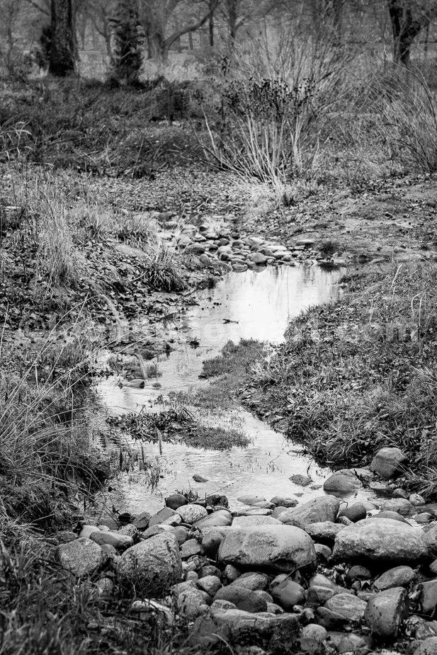 J24_Meandering_Creek_at_Tower_Grove_Park_3091_BW.jpg