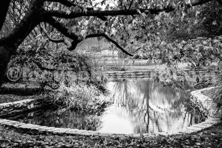 J24_Small_Pond_at_Tower_Grove_3006_BW.jpg