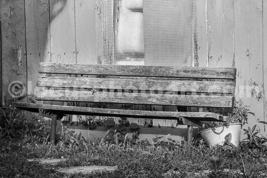 J20_Rustic_Bench_0180_BW.jpg