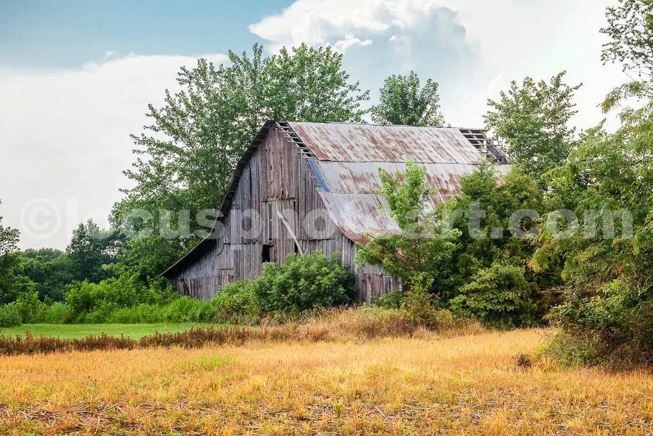 J19_Cantrell_Barn_in_July_9980.jpg