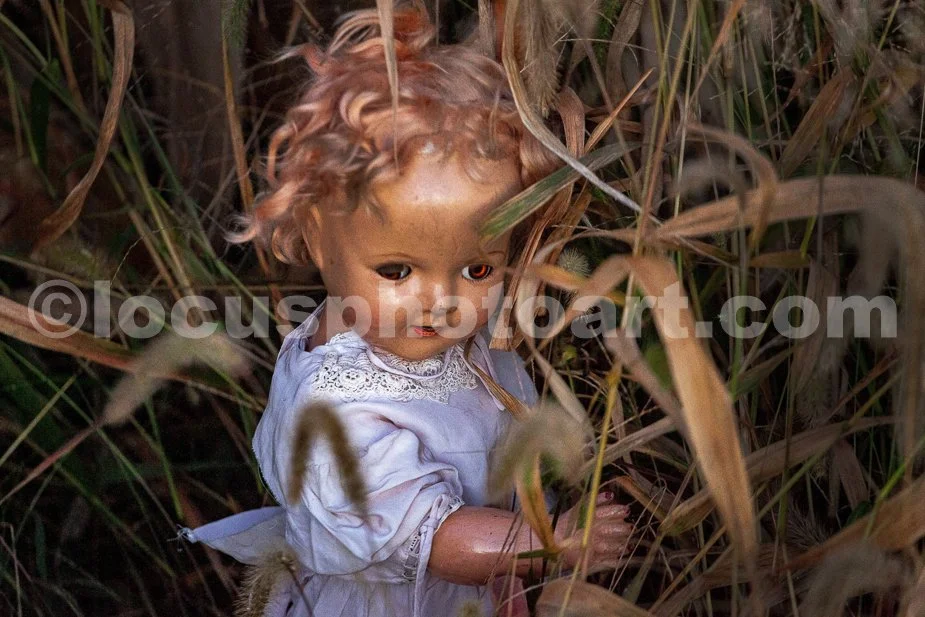 J24_Dolly_Hiding_in_the_Weeds_9420.jpg
