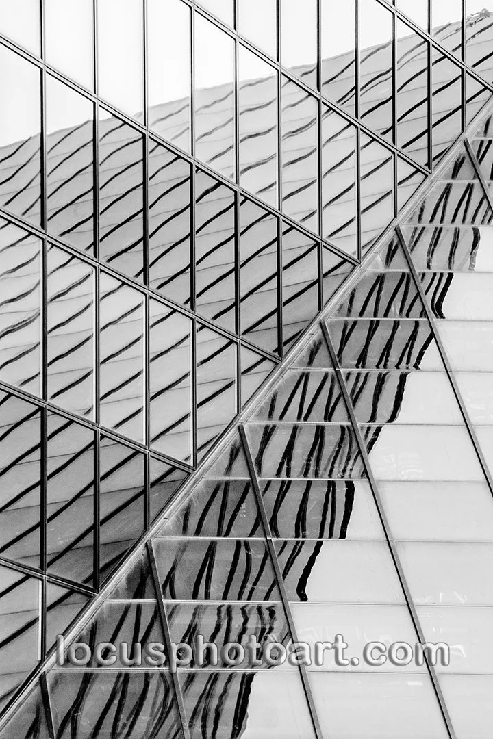 J23 Early Morning Reflections 3474  Hi-C BW FB.jpg