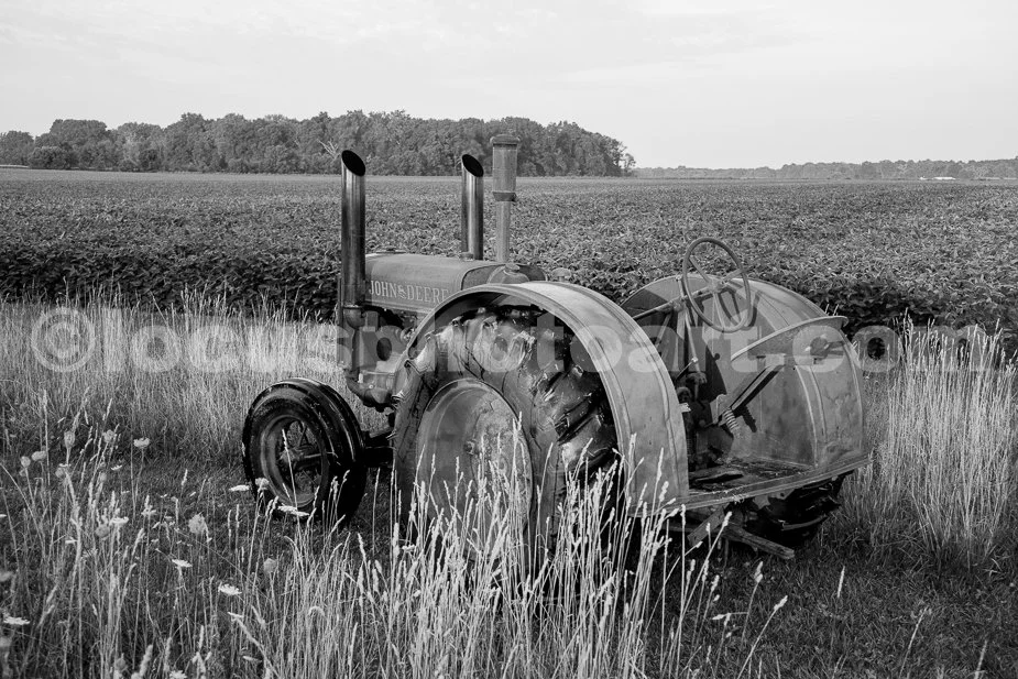 J23_Deere_by_the_Bean_Field_2487_BW.jpg