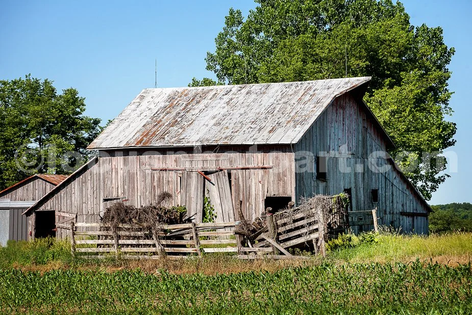 J18_Barn_in_Decline_0308.jpg