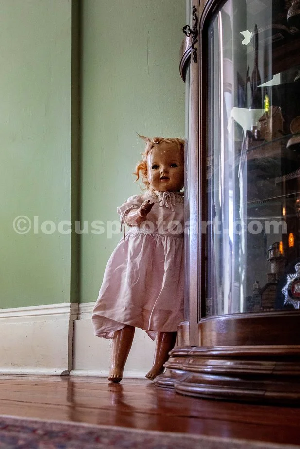J24_Dolly_Roaming_the_Halls_7363.jpg