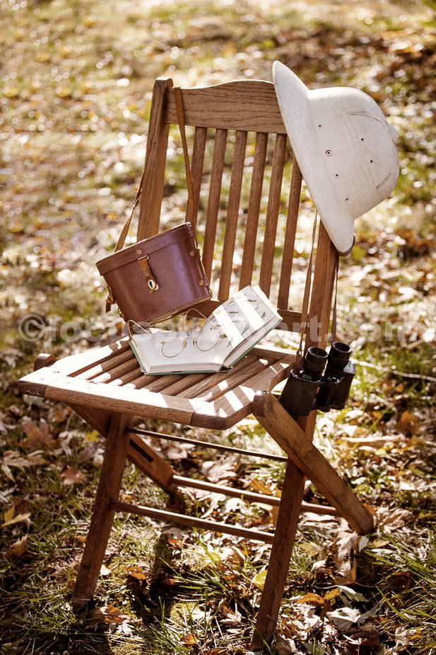 J19_Birdwatcher_s_Chair_1479_LSSepia.jpg