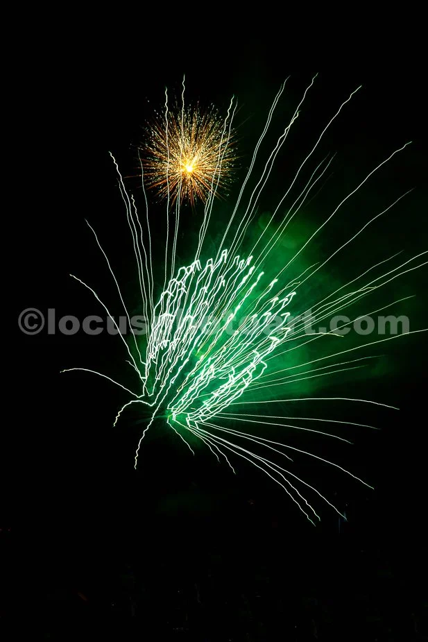 J24_Giant_Green_Fireworks_Tick_4175.jpg