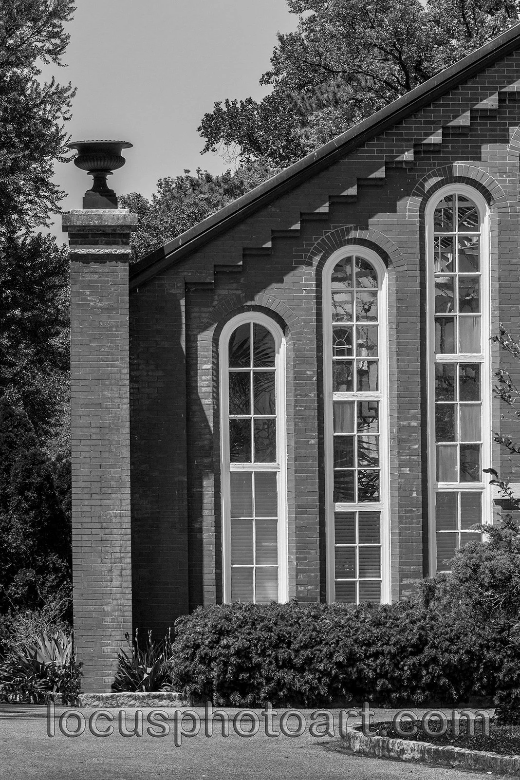WEB J21 Piper Palm House 0515 BW.jpg
