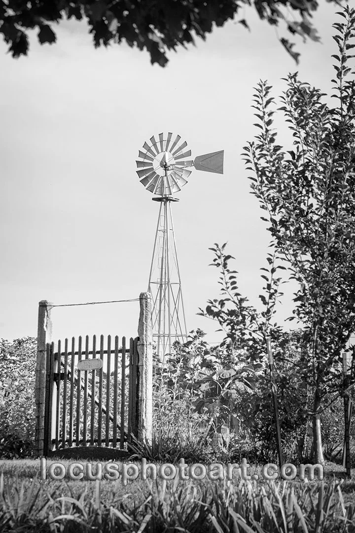 Gate & Windmill 7696 BW FB.jpg