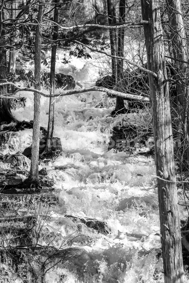 J21_Tumbling_Down_the_Bluff_9636_BW.jpg