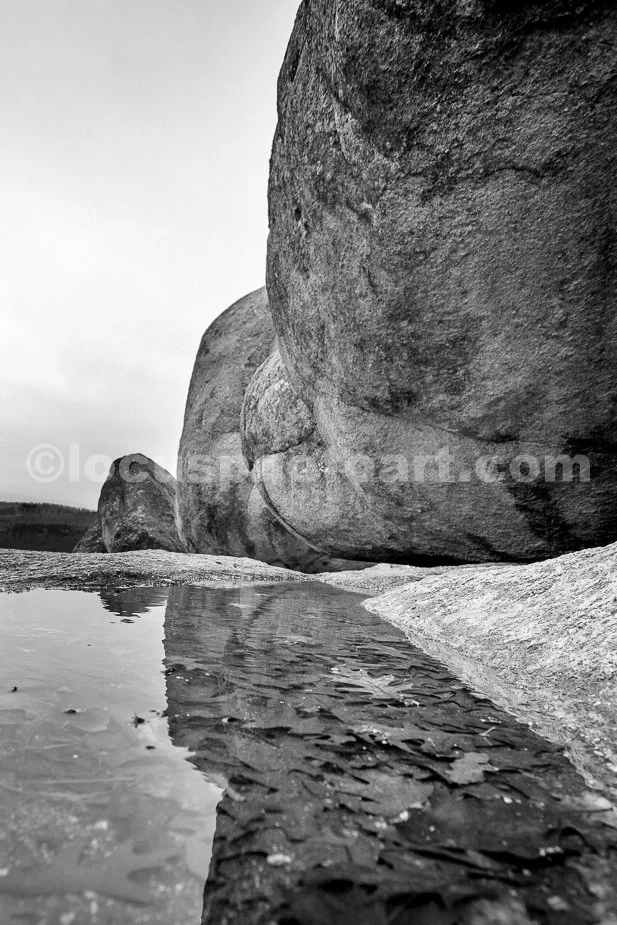 J21_Elephant_Rock_Reflected_6310_BW.jpg
