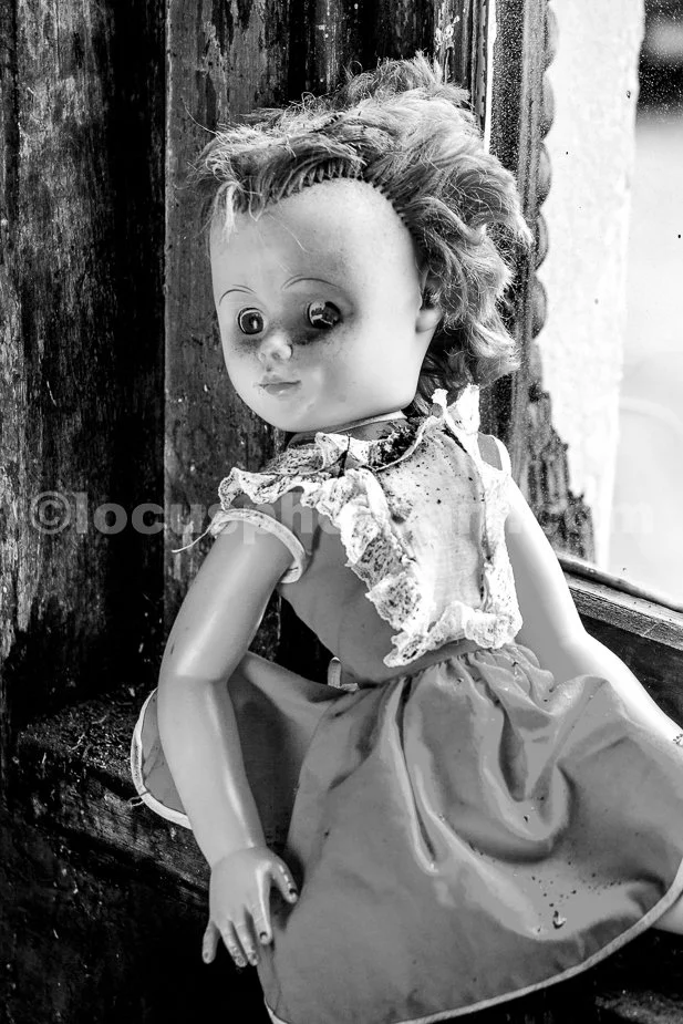 J21_Dolly_in_the_Window_5058_BW.jpg