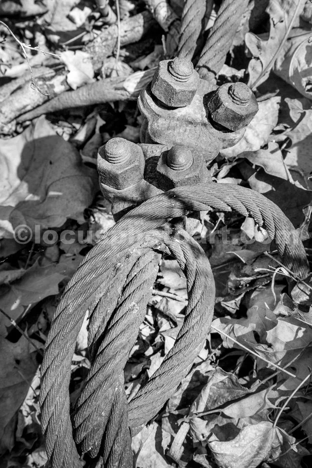 J21_Rusty_Cable_Knot_5494_BW.jpg