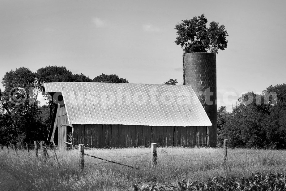 J24_Barn_with_Silo_Tree_9352_BW.jpg