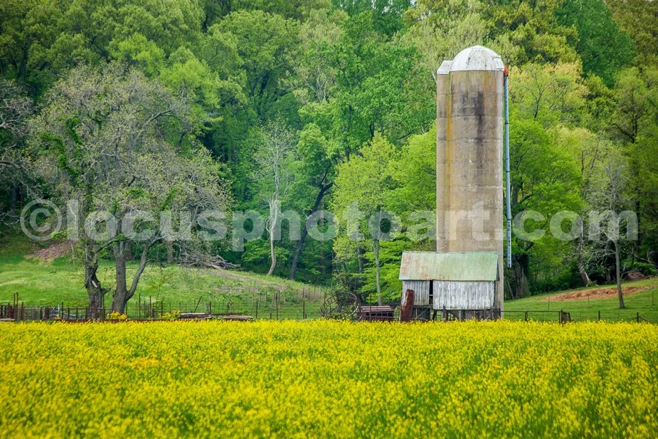 J19_Yellow_Fields_and_Silo_0422.jpg
