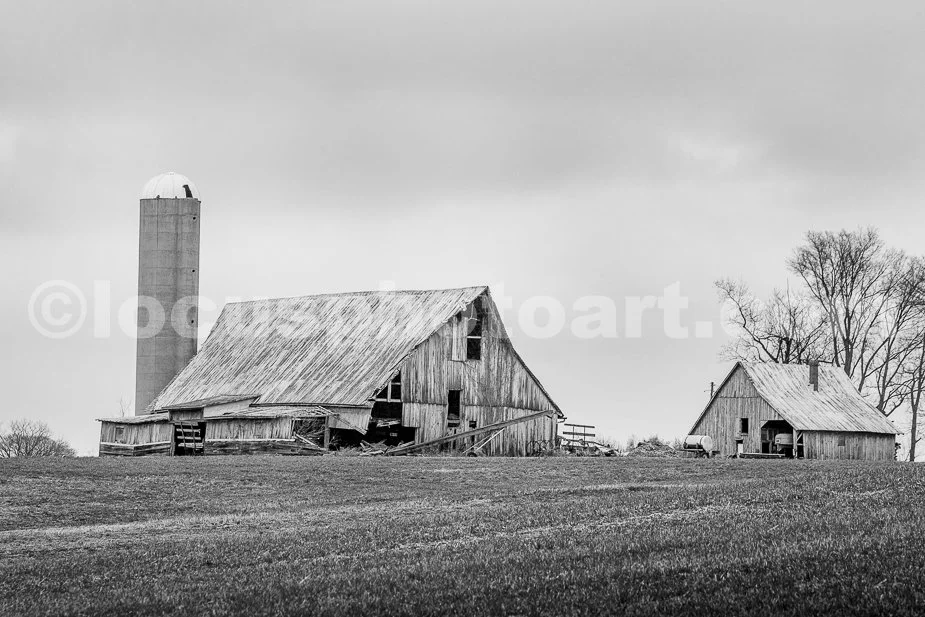 J19_Indiana_January_on_the_Farm_5467_BW.jpg