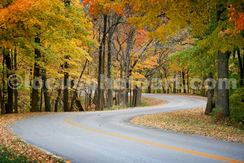 Autumn_Leaves_3394.jpg