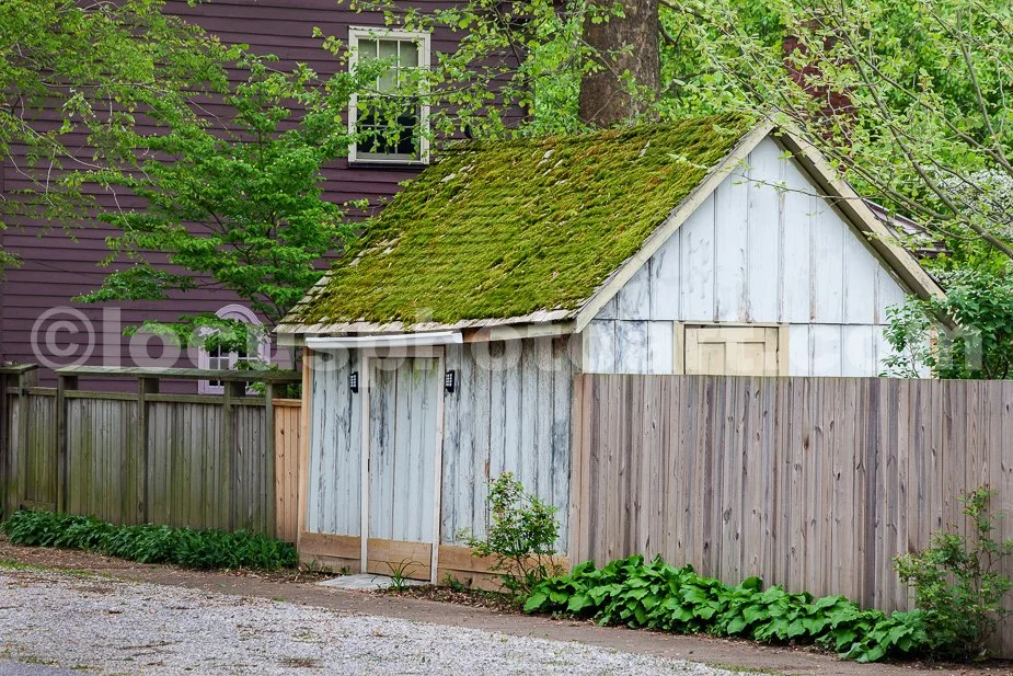 J19_Shed_with_the_Mossy_Roof_0092.jpg