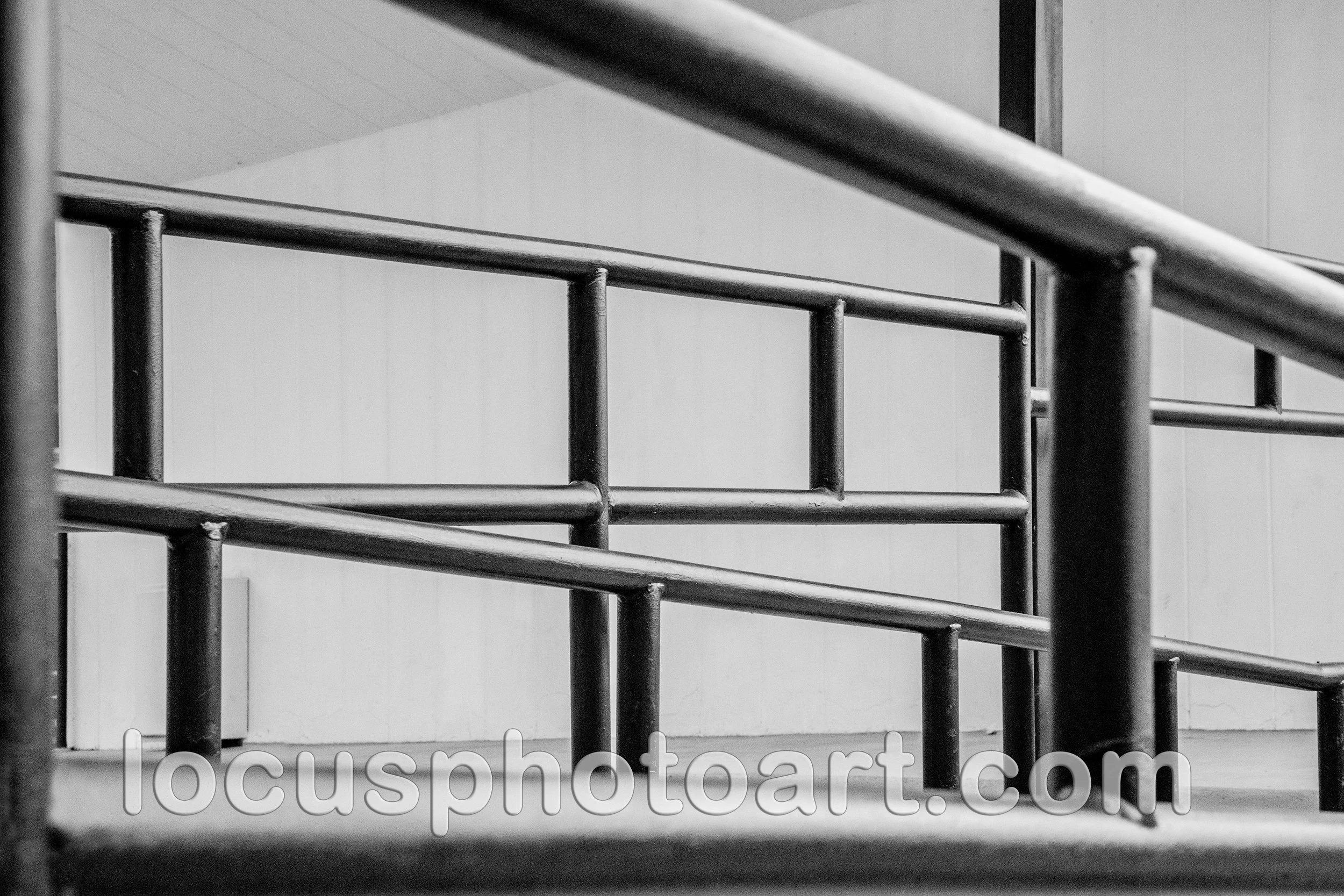 J22 Patterns in Steel1874 BW FB.jpg