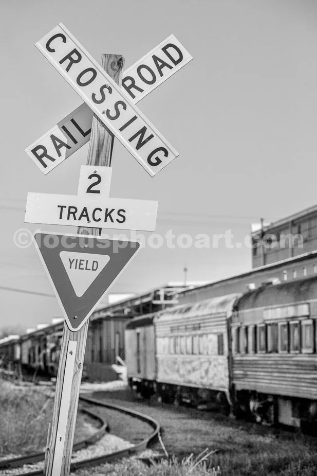 J21_Two_Tracks_5185_BW.jpg