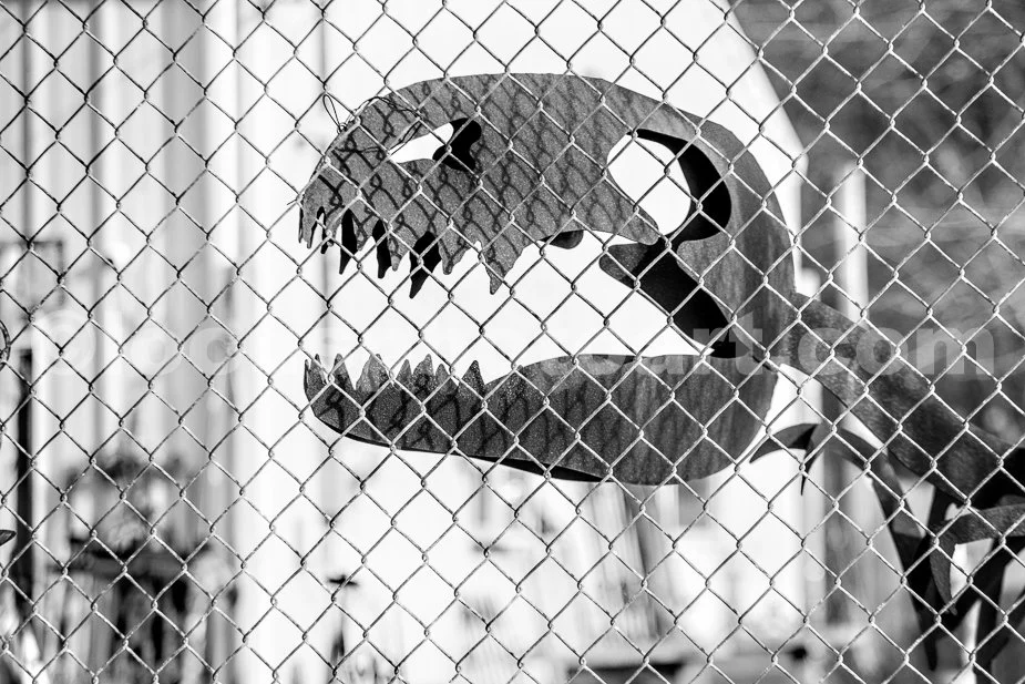 J23_T_Rex_Trapped_3038_BW.jpg