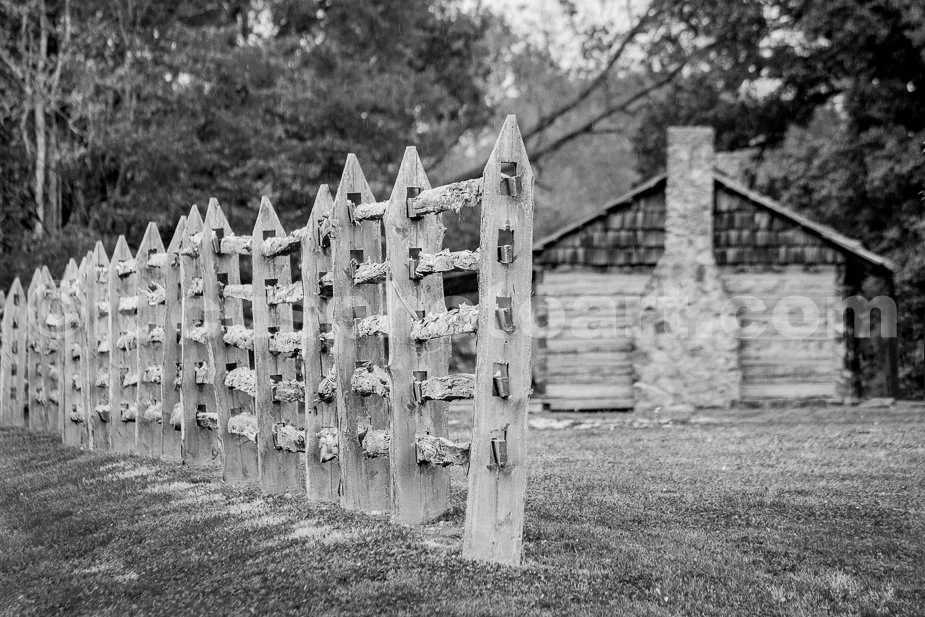 J19_Fence_with_Log_Cabin_0163_BW.jpg