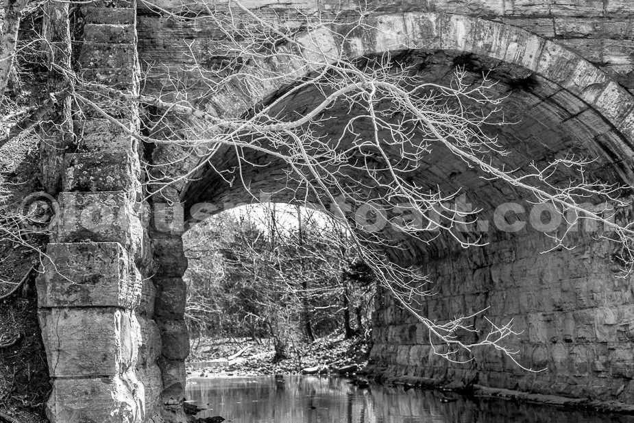 J21_Tunnel_on_Joachim_Creek_5466_BW.jpg