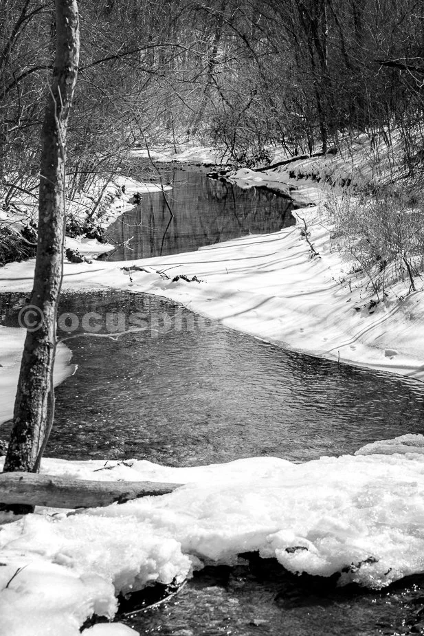 J21_Snowy_Creek_5405_BW.jpg