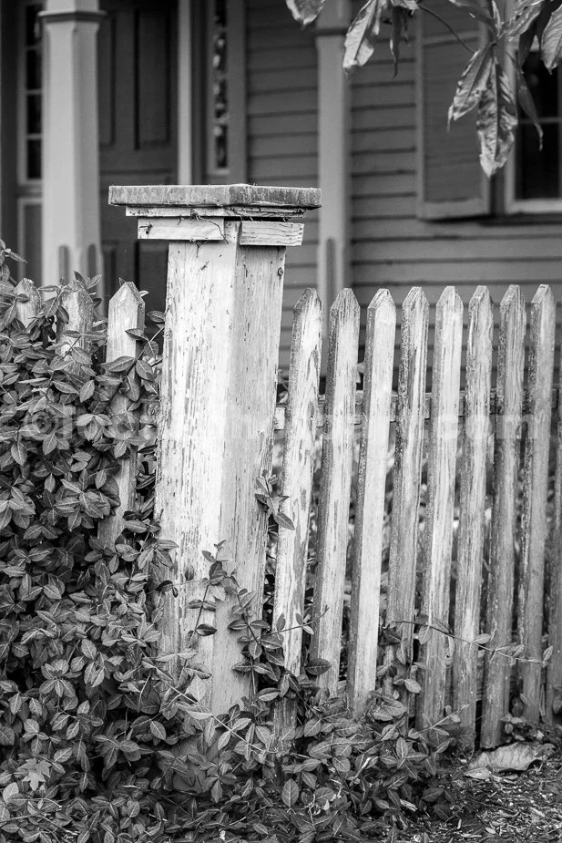 J21_Rustic_Pickets_1289_BW.jpg