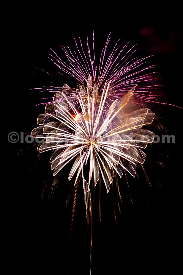J24_fireworks_Corsage_4262.jpg