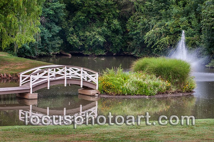 WEB J19 Footbridge to the Island 7519.jpg