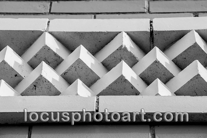 WEB J19 Pink and White in Greenwood 7367 BW.jpg