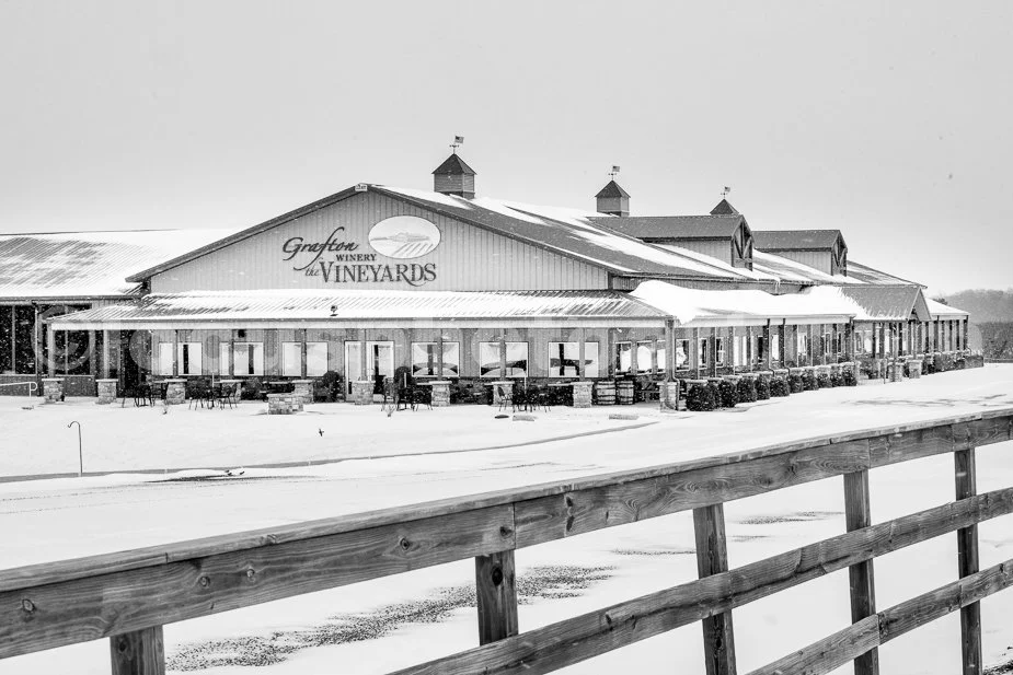 J21_Grafton_Vineyards_in_February_4868_FB.jpg