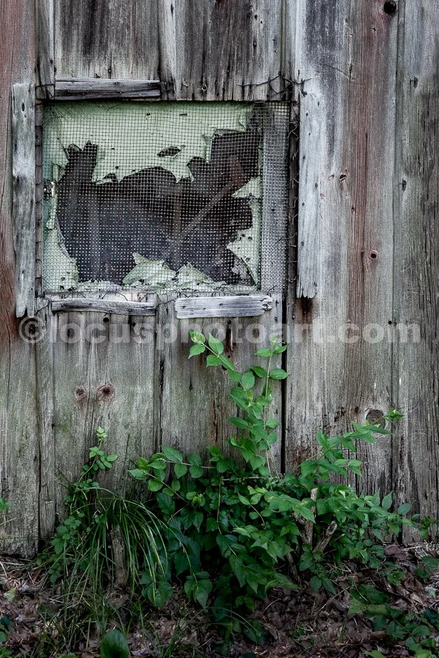 J24_Poultry_Barn_Window_9343.jpg