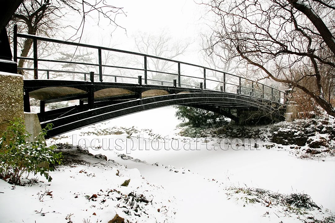 FB J16 Winter at Lafayette Park 7510.jpg