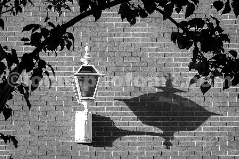 J18_Lamp_Shadow_9979_BW.jpg