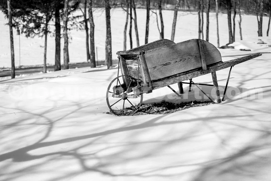J21_Winter_Wheelbarrow_5311_BW.jpg