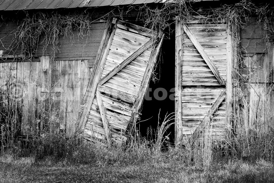 J23_Rural_Indiana_Barn_Doors_6108_BW.jpg