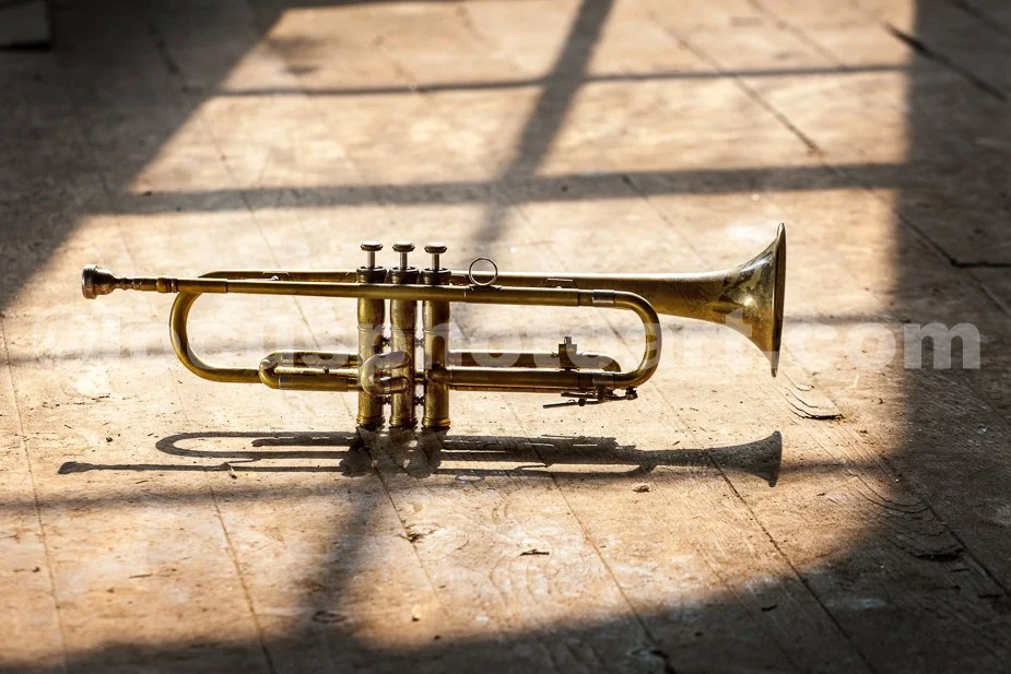 J21_Trumpet_Shadow_Play_5019.jpg