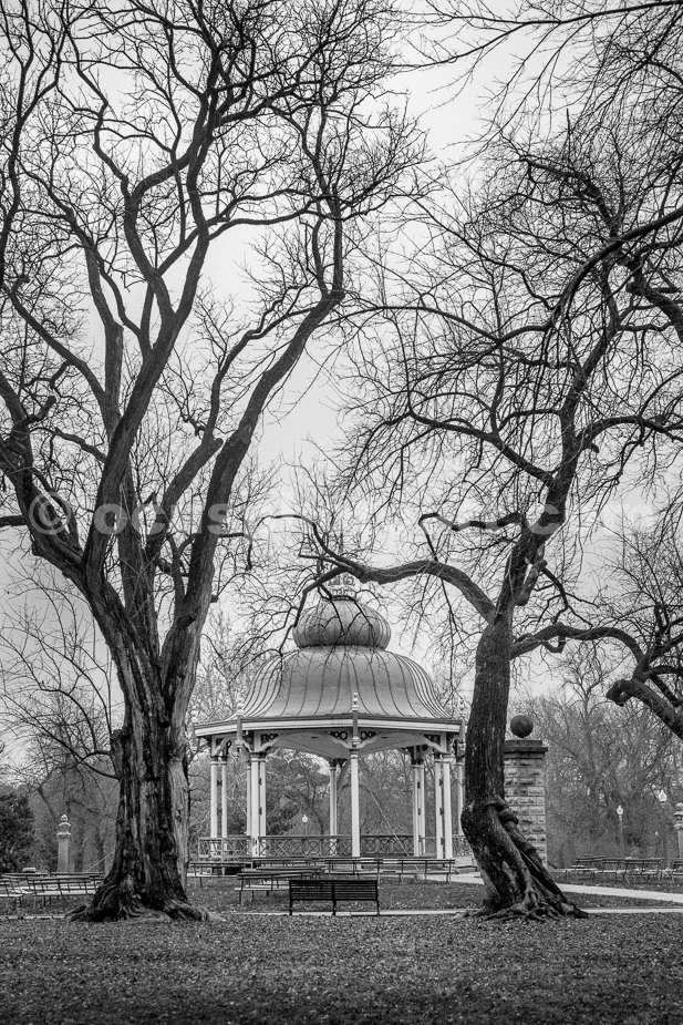 J24_Bandstand_Through_the_Trees_3035_BW.jpg
