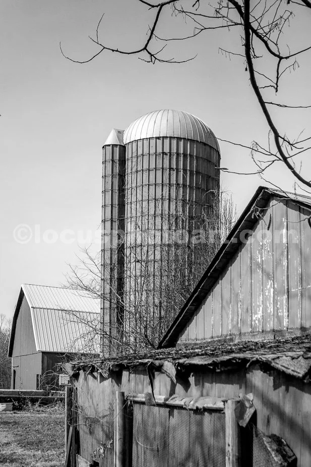 J21_Barns_and_Silo_0972_BW.jpg