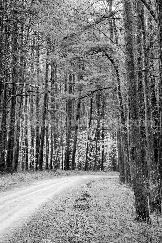 J21_Road_to_Burden_Falls_4567_BW.jpg