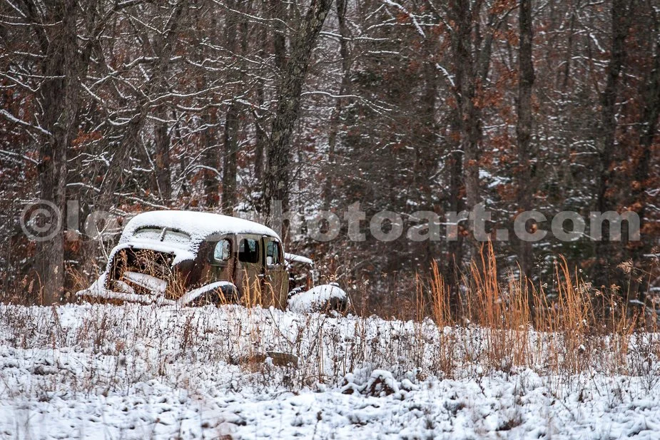 J21_Abandoned_Near_the_Woods_3422.jpg