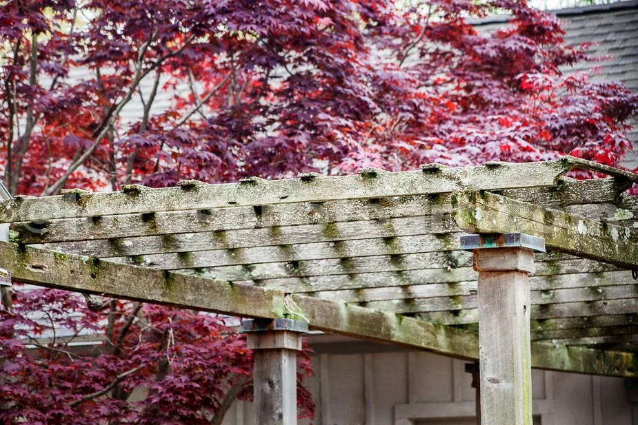 J19_Rustic_Pergola_0405.jpg