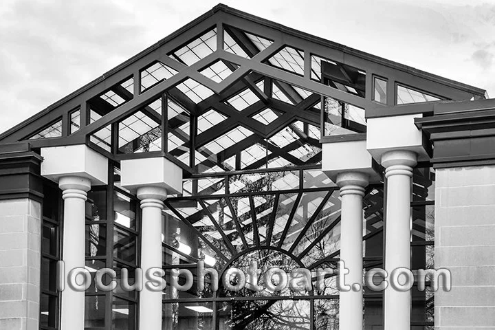 J22 Bringing in the Light 1832 BW FB.jpg