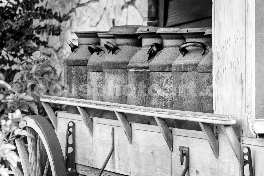 J16_Main_Street_Milk_Wagon_3906_BW.jpg