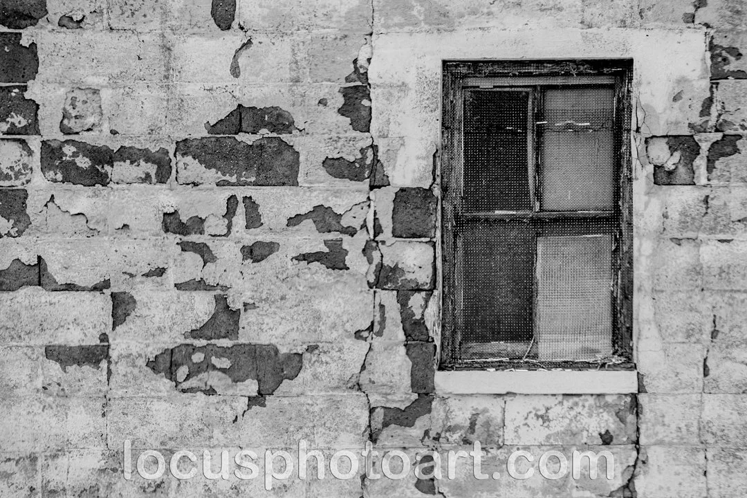 J22 Downtown Window and Wall 8216 BW FB.jpg